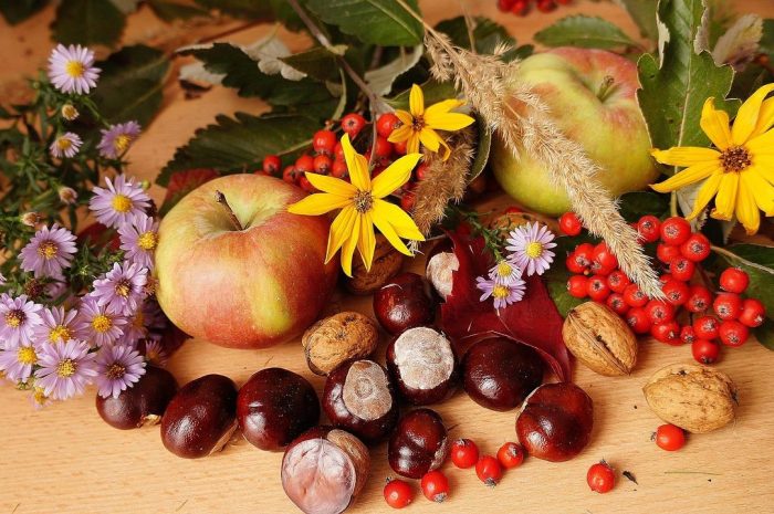 Kasztan jadalny – czy jest łatwy w uprawie? Jakie ma właściwości?