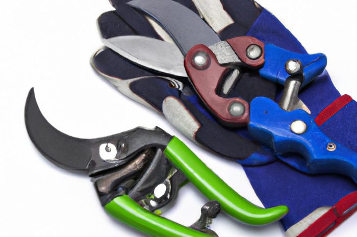 Kiedy przycinać brzoskwinie? Sprawdź, jak i kiedy ciąć drzewa owocowe, aby cieszyć się obfitymi plonami!