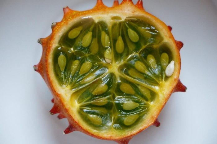 Kiedy wysiewać ogórki na rozsadę? Najważniejsze wskazówki