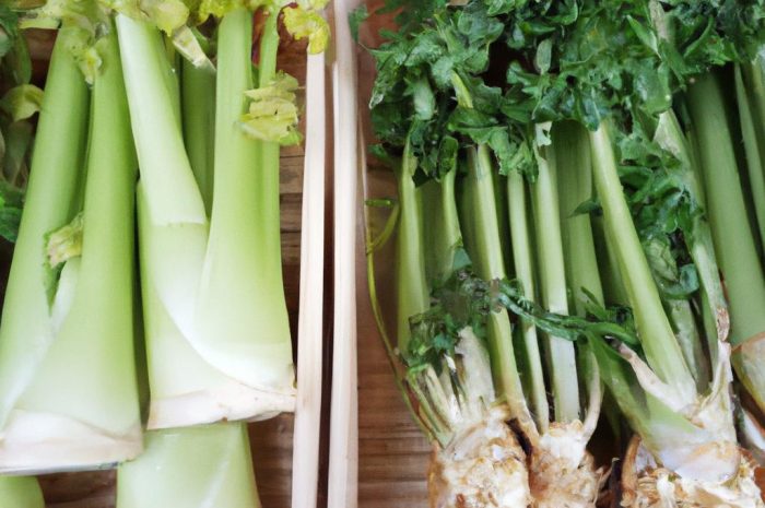 Kiedy wysiewać seler naciowy, a kiedy korzeniowy?