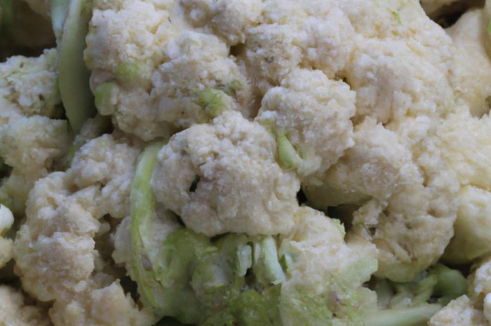 Kolczakówka piekąca – grzyb chroniony i wymierający