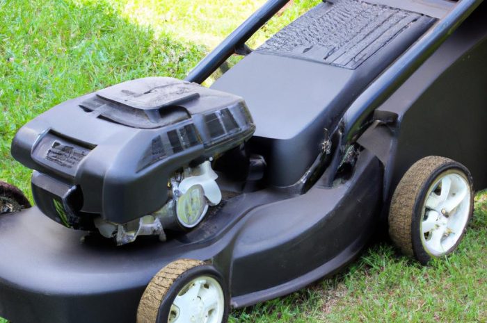 Kosiarki – jakie są ich rodzaje? Na którą warto się zdecydować?