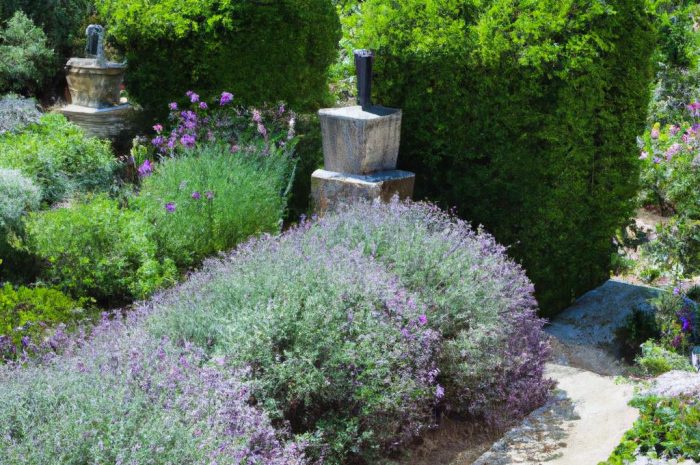 Kufea – elegancka ozdoba każdego ogrodu