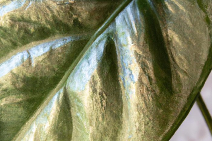 Kwiaty cieniolubne do domu – czy takie rośliny istnieją?