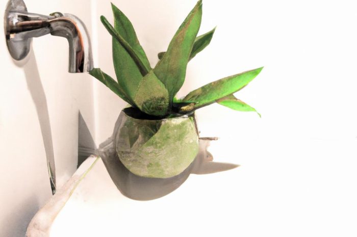 Kwiaty do łazienki bez okna – ozdobne i pożyteczne