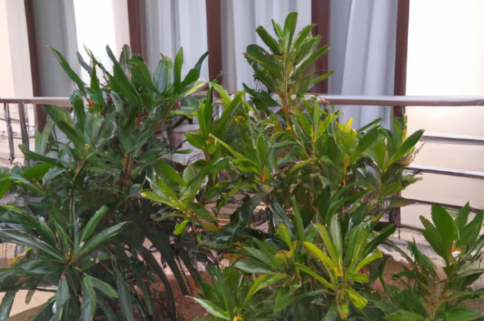 Małe drzewka ozdobne – jakie okazy możesz wykorzystać w swoim ogrodzie?