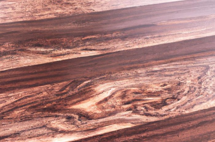 Mahoniowiec właściwy stosuje się w produkcji mebli. Jakie jest mahoniowe drewno?