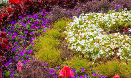 Cebulki kwiatowe wiosenne – co sadzić wiosną? Wybór roślin cebulowych i sadzenie cebulek