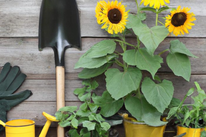 Marzec w ogrodzie – jakie prace należy wykonać? Co podpowiada kalendarz ogrodnika?