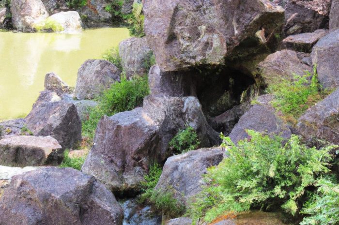 Miłorząb japoński – wyjątkowe drzewo nie tylko do ogrodu w stylu orientalnym