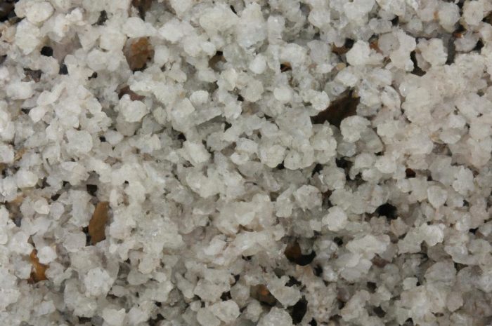 Mocznik – nawóz dla roślin w twoim ogrodzie