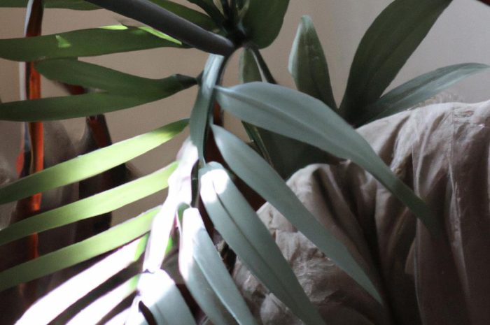 Najlepsze kwiaty do sypialni, które oczyszczają powietrze