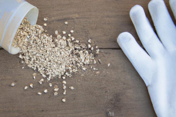 Nawóz z drożdży – zastosowanie w ogrodzie