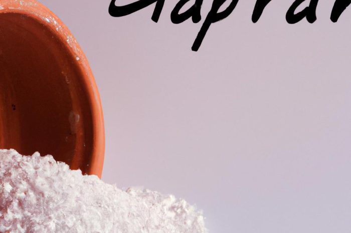 Nawóz do pelargonii. Co powinien zawierać?