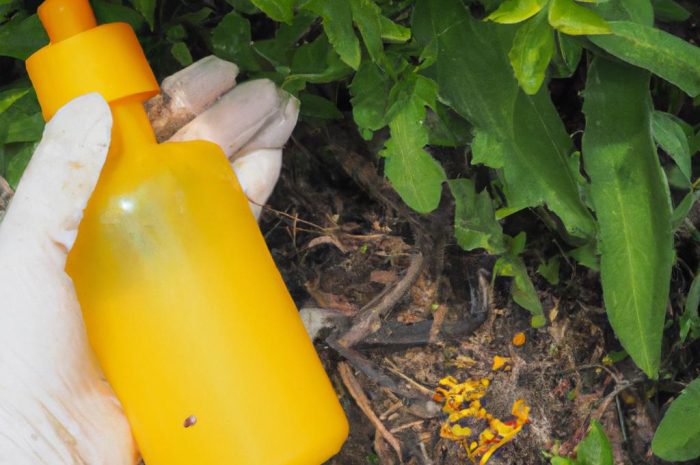 Nawóz do pomidorów – jaki dobrać? Zasady nawożenia pomidorów