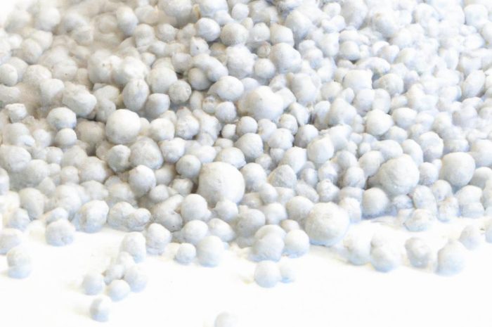 Nawóz do roślin doniczkowych – co wzmocni Twoją uprawę?