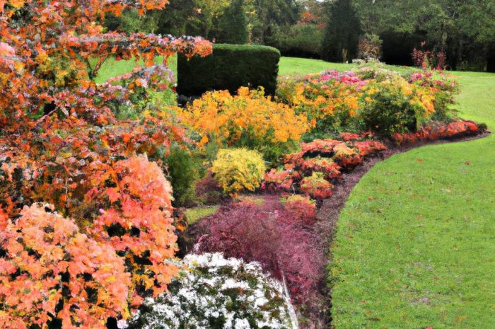 Niecierpek balsamina – uniwersalna roślina ozdobna na balkon lub do ogrodu