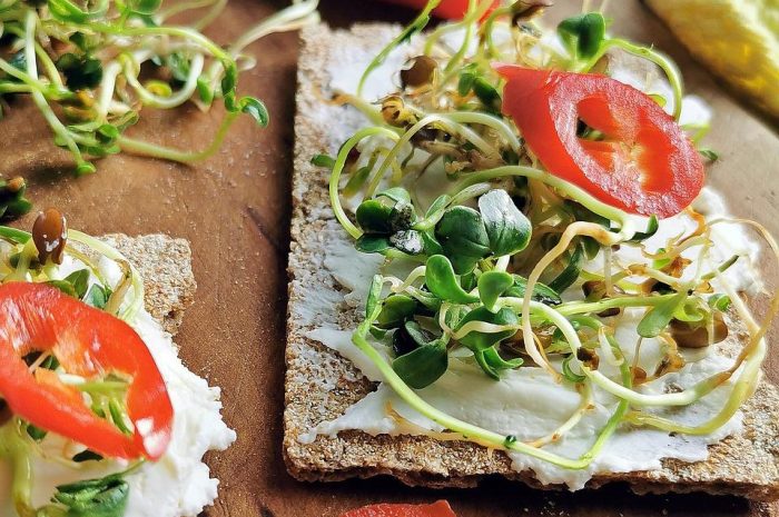 Nietypowe rośliny domowe – jak wyhodować awokado z pestki? Wszystko, co musisz wiedzieć o pielęgnacji awokado w doniczce