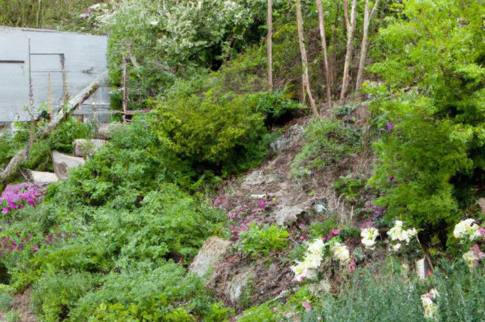 Nowoczesne ogrody minimalistyczne – rośliny, architektura, dodatki