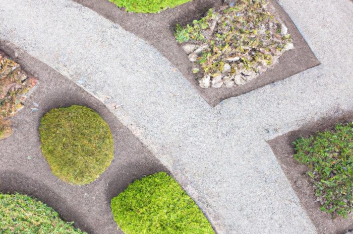 Ogród geometryczny – nowoczesna aranżacja w eleganckim stylu