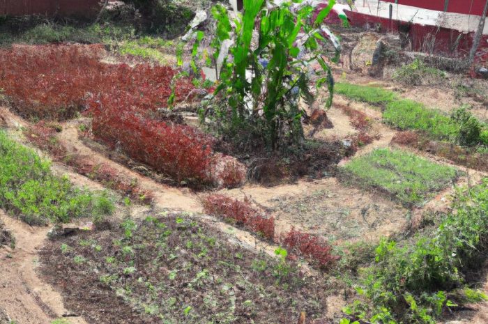 Ogród na dachu niczym w Centrum Nauki Kopernik – jak stworzyć zielony dach u siebie? Jaka roślinność będzie najlepsza?