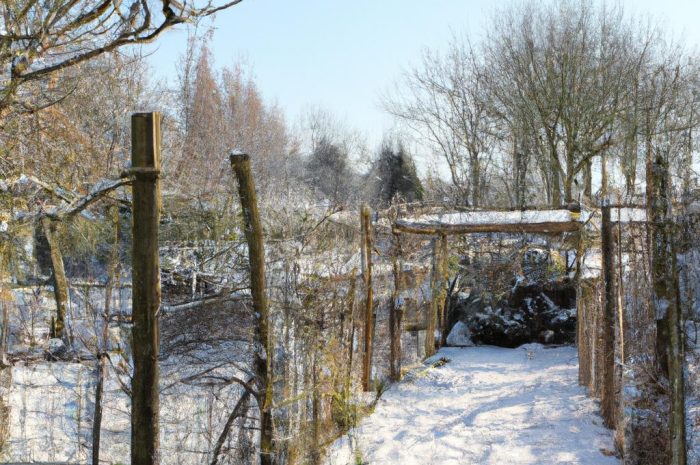 Ogród zimowy – aranżacje przeszklonej oranżerii. Jak zaprojektować i urządzić ogród zimowy na tarasie i cieszyć się promieniami słonecznymi przez cały rok?