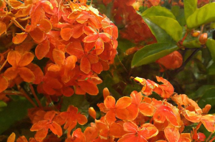 Okres wegetacyjny dla roślin w Polsce. Wpływ zmiany klimatu