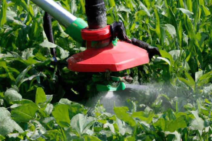 Oprysk na chwasty – czym jest i jak go wykorzystać w ogrodzie? Dowiedz się, jak zwalczać niepożądane rośliny!