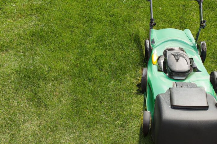 Ostatnie koszenie trawnika — kiedy najlepszy moment?