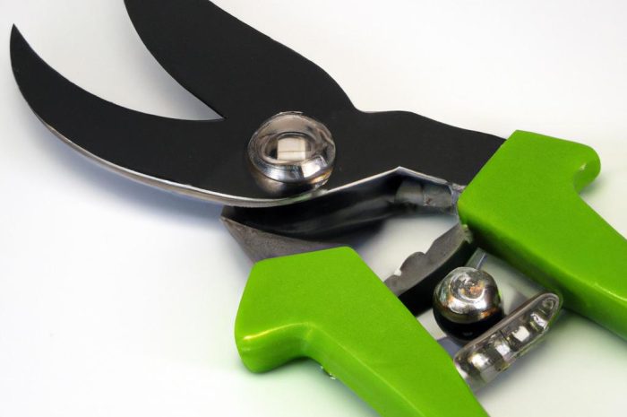 Pielęgnacja żywopłotu – jak sadzić, przycinać i formować?