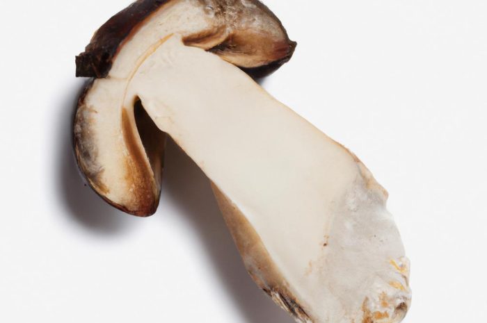 Pierścieniak grynszpanowy – charakterystyka grzyba i jego właściwości