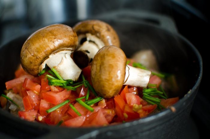 Pierścieniak uprawny – opis jadalnego grzyba