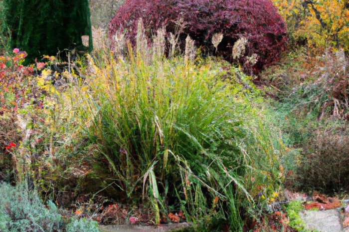 Pies w ogrodzie – jak ochronić ogród przed psem?