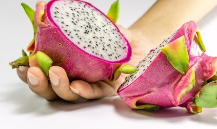 Pitaja – jak wyhodować smoczy owoc z pestki?