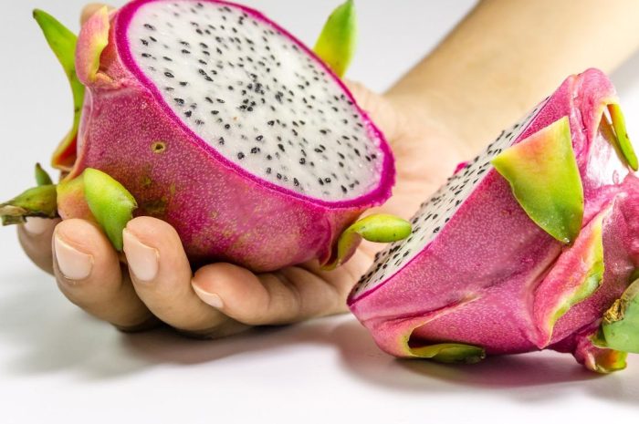 Pitaja – jak wyhodować smoczy owoc z pestki?