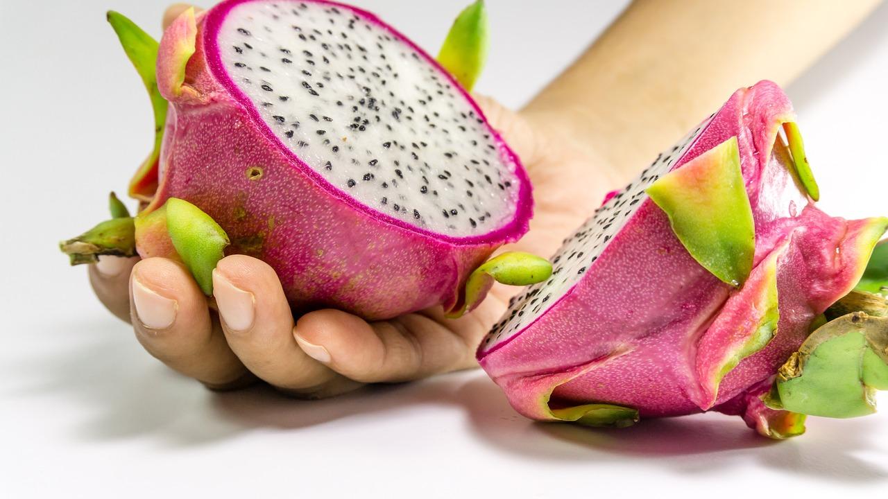 Pitaja – jak wyhodować smoczy owoc z pestki?