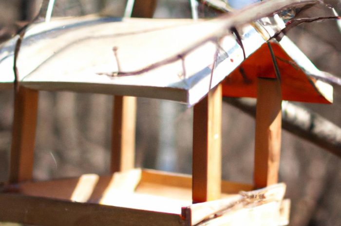 Poidełko dla ptaków, jak zrobić je samodzielnie?