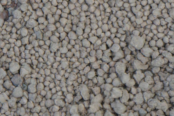 Popiół jako nawóz to dość niekonwencjonalne rozwiązanie w ogrodnictwie.