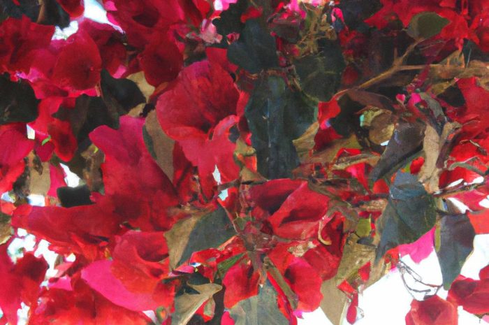 Rośliny cebulowe do ogrodu – przegląd kwiatów cebulowych i bulwiastych, które warto posadzić na działce