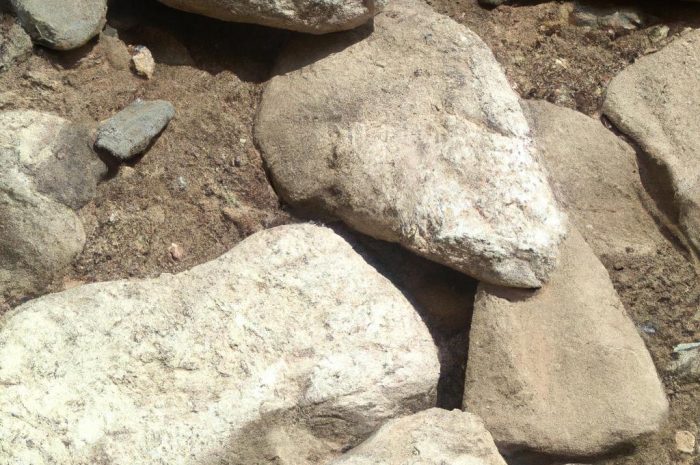 Rośliny na skalniak – ozdobne byliny wieloletnie, krzewy zimozielone, które pozwalają odwzorować górski krajobraz