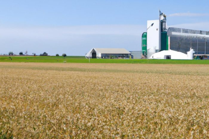 Rośliny przemysłowe, ich uprawa i produkcja