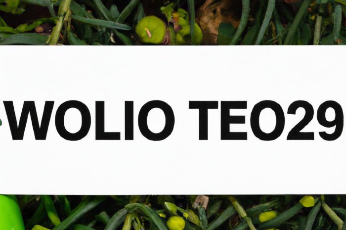 Rośliny trujące dla psa – poznaj doniczkowe i ogrodowe kwiaty szkodliwe dla zwierząt