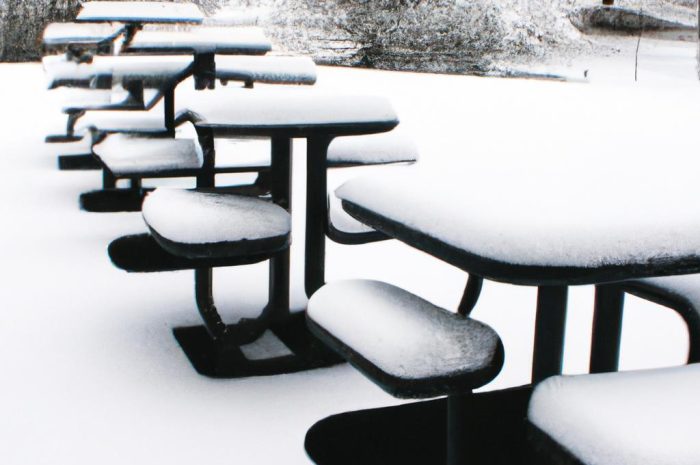 Sit spiralny zimowanie – jak powinno wyglądać?