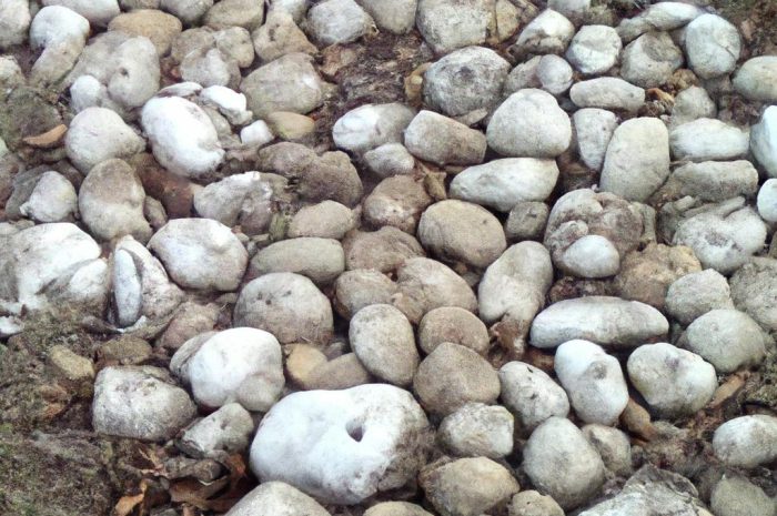 Skalniak z opon, czyli jak wykorzystać opony w ogrodzie