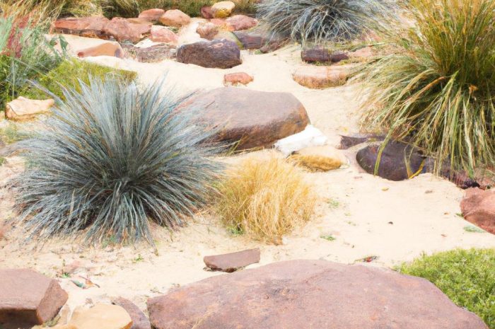 Skalniaki nowoczesne – ozdoba przydomowych ogródków. Najlepsze pomysły na skalniak