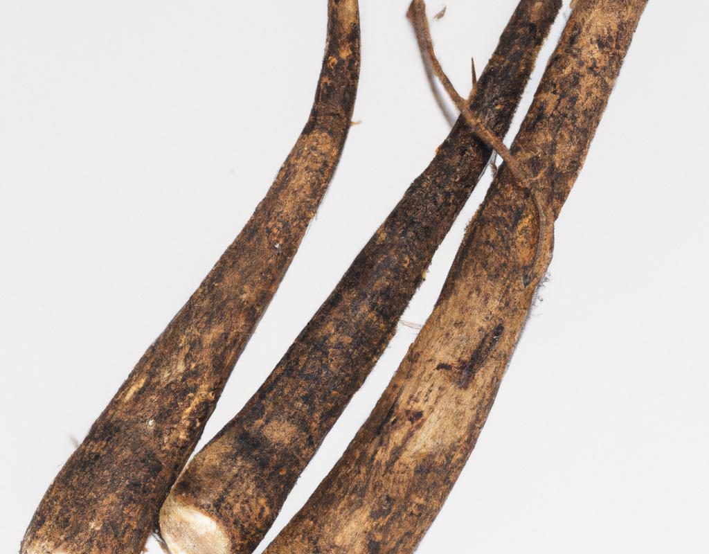 Bambusy w ogrodzie – jakie gatunki są mrozoodporne? Jak je uprawiać?