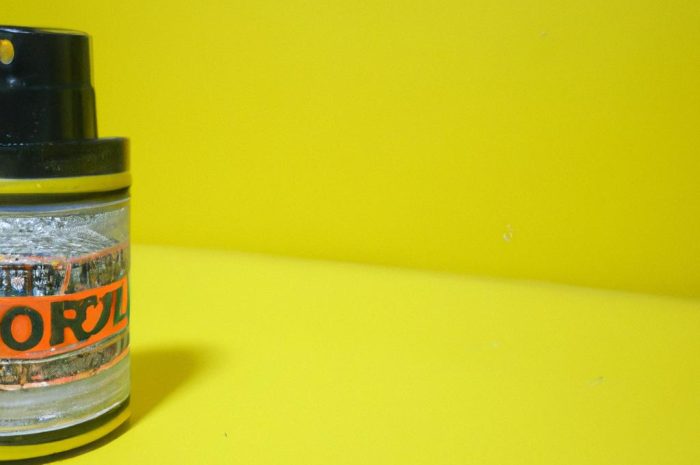 Skuteczne preparaty na komary i kleszcze. Opryskiwanie na komary – jak działa i jakie środki stosować?