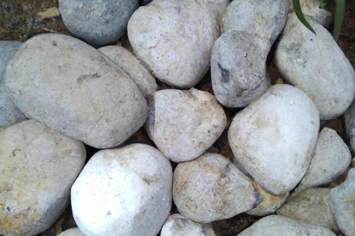 Sposób na zagospodarowanie skarpy w ogrodzie, czyli skalniaki na skarpach pełne roślin