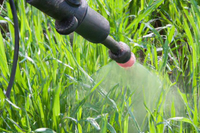 Starane 250 EC – ile na litr wody? Dobre rozwiązanie dla każdego trawnika