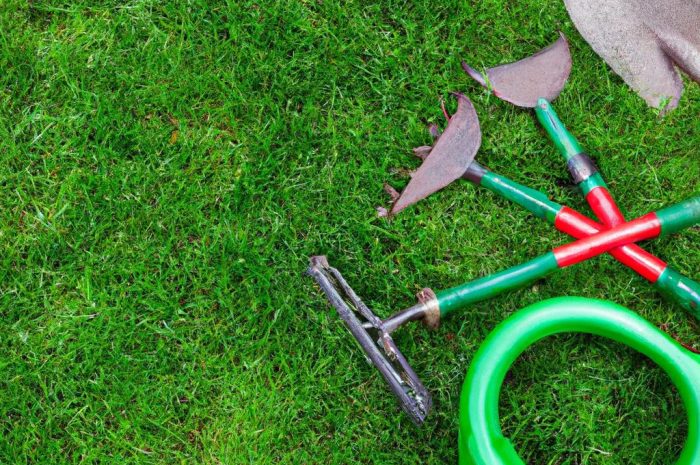 Trawnik po zimie – najważniejsze czynności pielęgnacyjne. Tak zadbasz o swój trawnik!